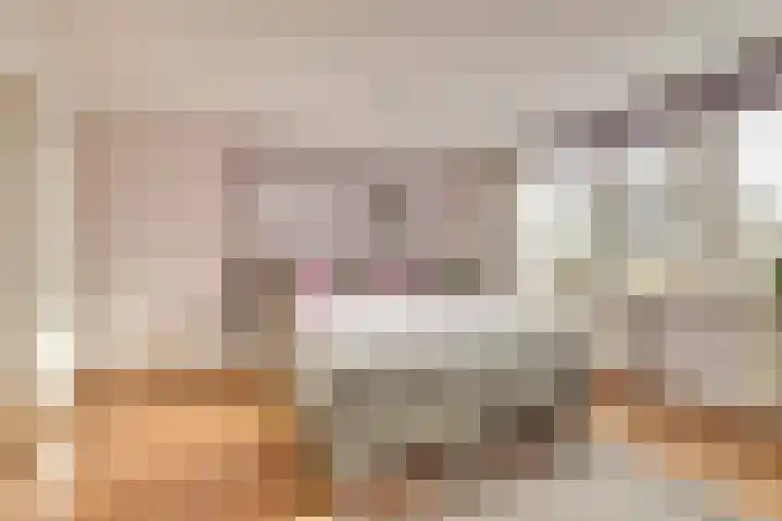 Uitterlier 106 De Lier thumbnail 18