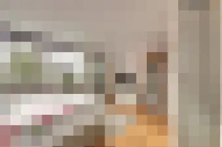 Uitterlier 106 De Lier thumbnail 19