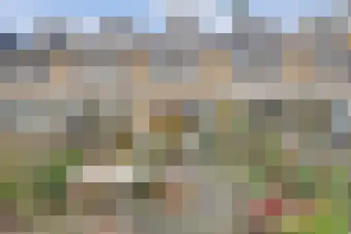 Uitterlier 106 De Lier foto 2