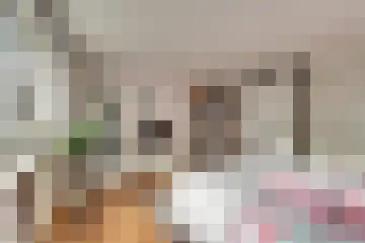Uitterlier 106 De Lier thumbnail 20