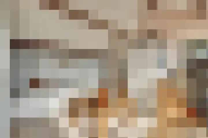 Uitterlier 106 De Lier thumbnail 29