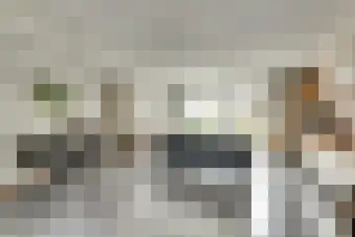 Uitterlier 106 De Lier foto 3