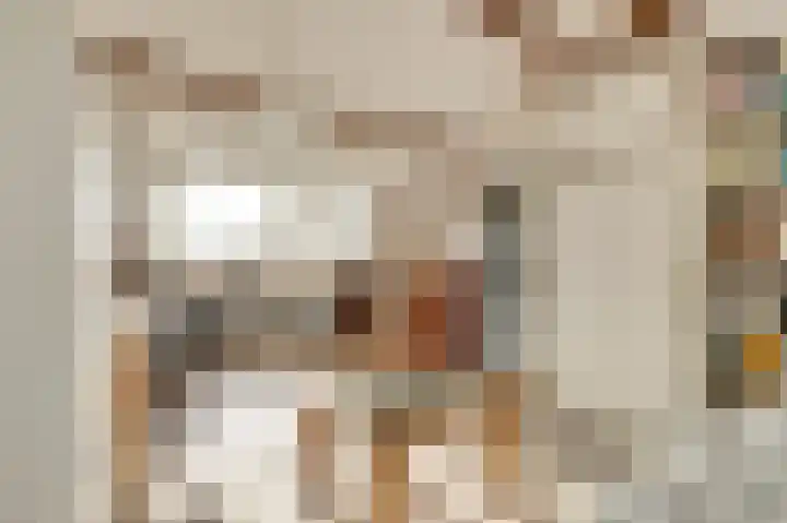 Uitterlier 106 De Lier thumbnail 30