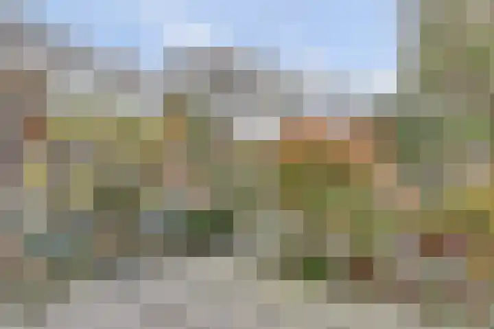 Uitterlier 106 De Lier thumbnail 32