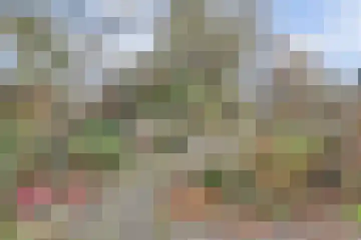 Uitterlier 106 De Lier thumbnail 33