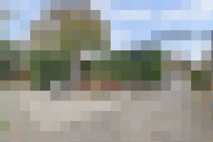 Uitterlier 106 De Lier thumbnail 34