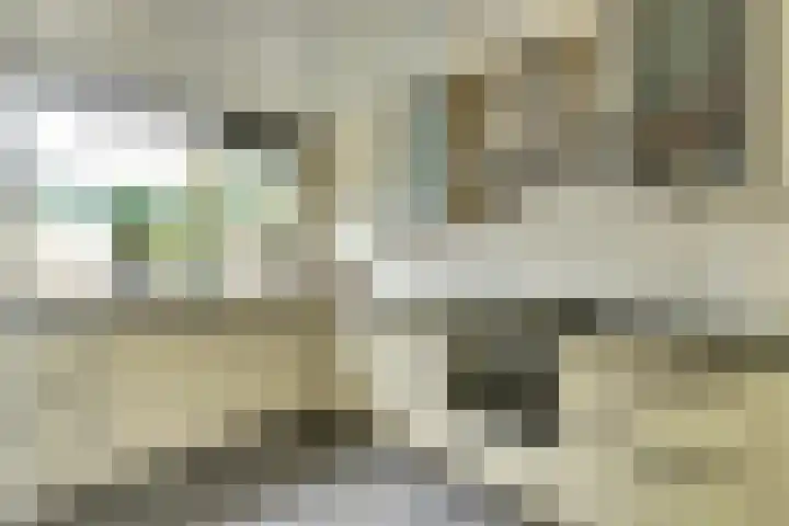 Uitterlier 106 De Lier thumbnail 4