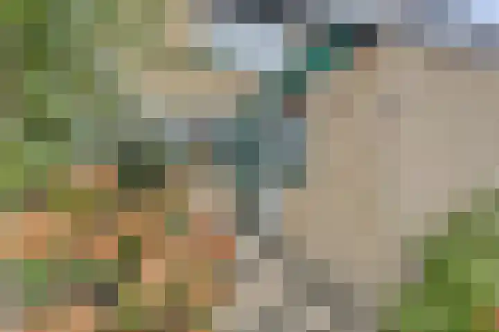 Uitterlier 106 De Lier thumbnail 5