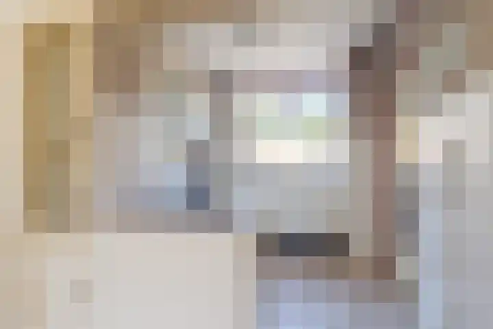 Uitterlier 158 De Lier thumbnail 11