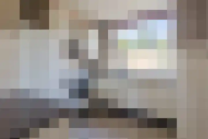 Uitterlier 158 De Lier thumbnail 12