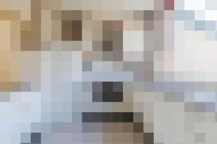 Uitterlier 158 De Lier thumbnail 13