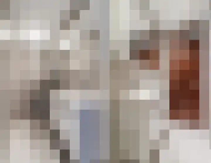 Uitterlier 158 De Lier thumbnail 19
