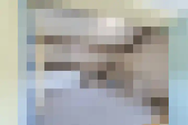 Uitterlier 158 De Lier thumbnail 21