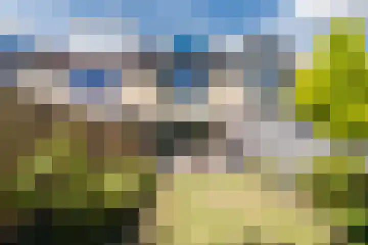 Uitterlier 158 De Lier thumbnail 22
