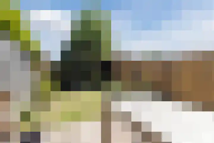 Uitterlier 158 De Lier thumbnail 23