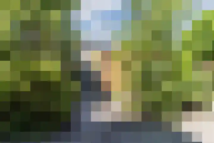 Uitterlier 158 De Lier thumbnail 24
