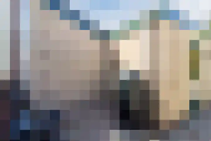 Uitterlier 158 De Lier thumbnail 4