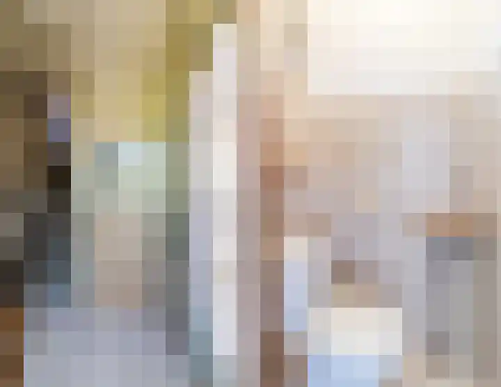 Uitterlier 158 De Lier thumbnail 6