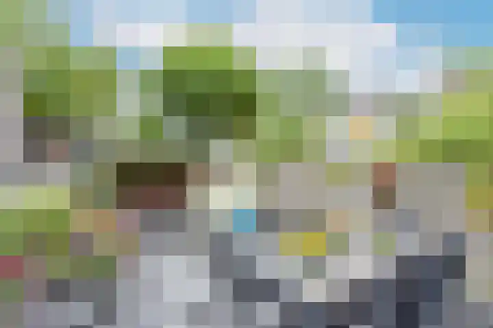 Uitterlier 25 De Lier thumbnail 23