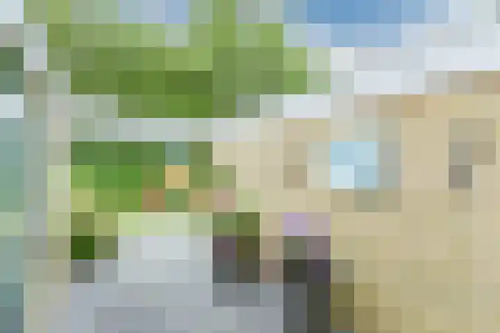 Uitterlier 25 De Lier thumbnail 25