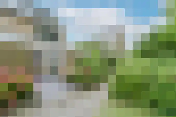 Uitterlier 25 De Lier thumbnail 26
