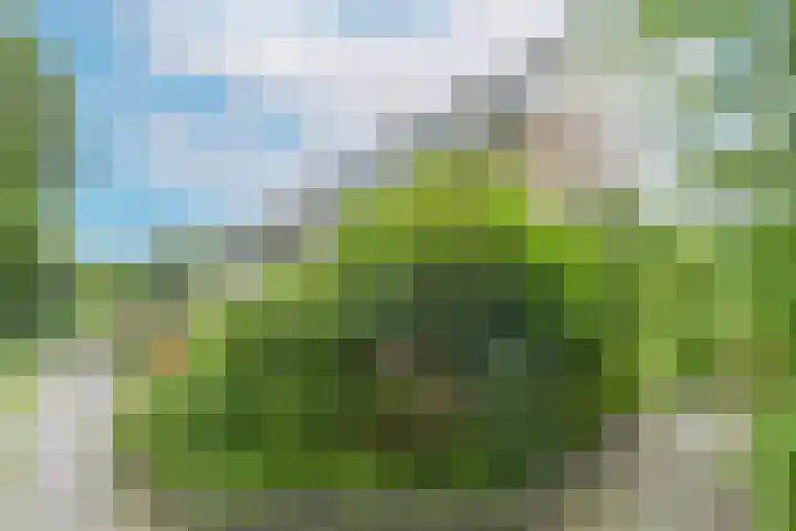 Uitterlier 25 De Lier thumbnail 28