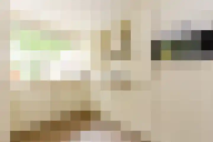 Uitterlier 25 De Lier foto 3