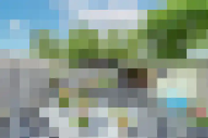 Uitterlier 25 De Lier thumbnail 4
