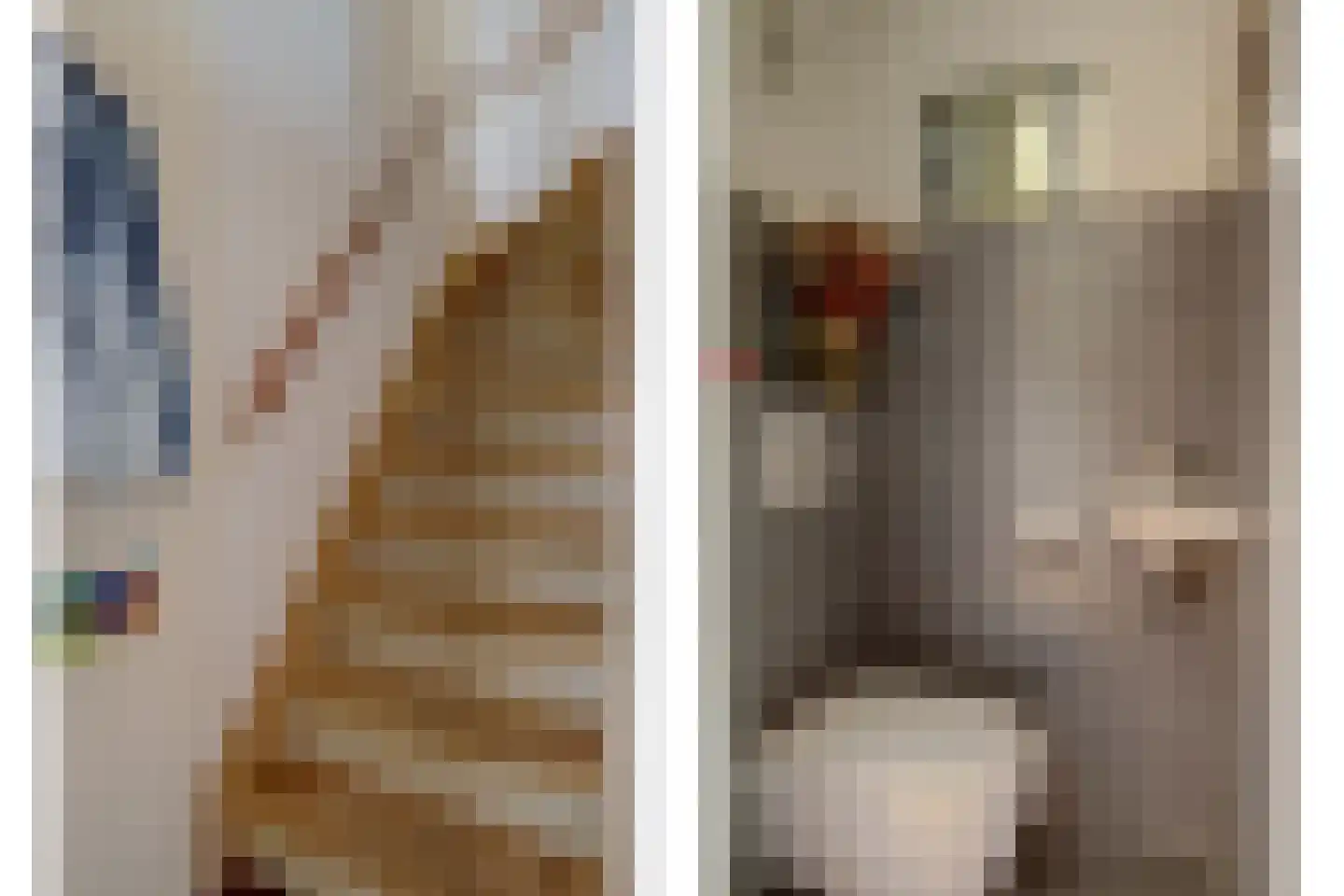 Uitterlier 70 De Lier thumbnail 10