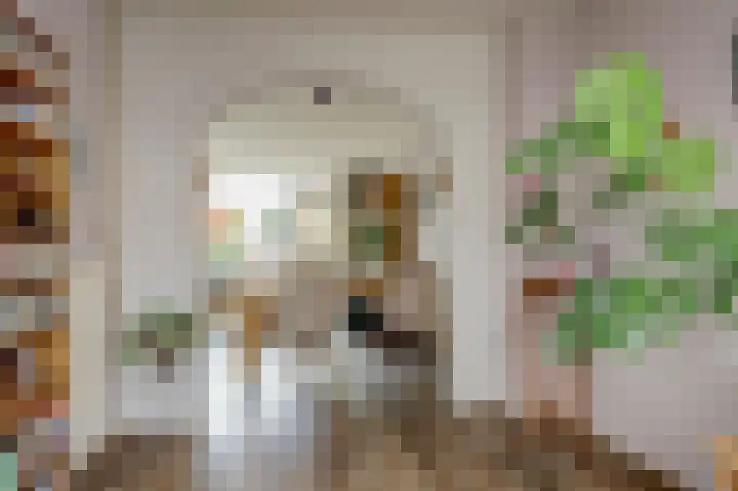 Uitterlier 70 De Lier thumbnail 15
