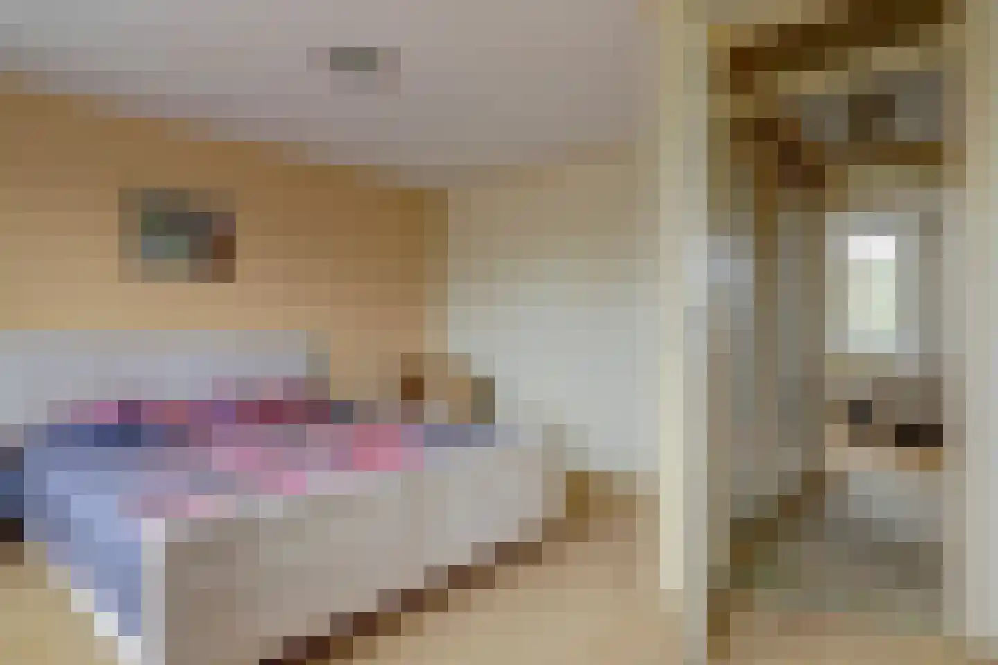 Uitterlier 70 De Lier thumbnail 23