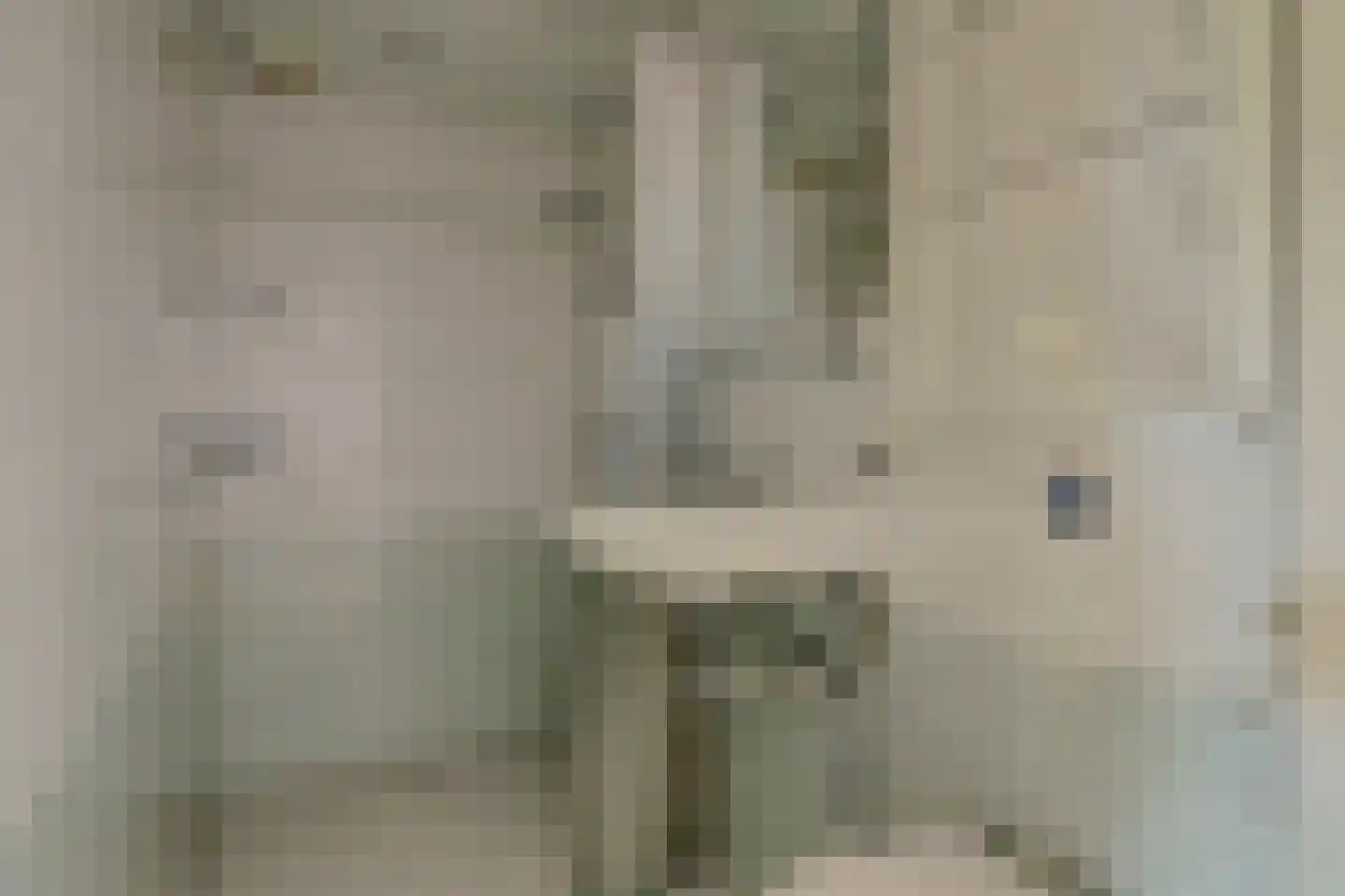Uitterlier 70 De Lier thumbnail 29