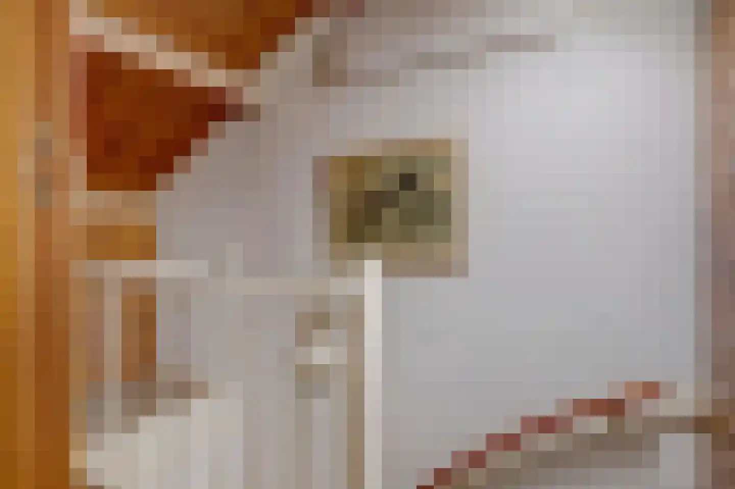 Uitterlier 70 De Lier thumbnail 31