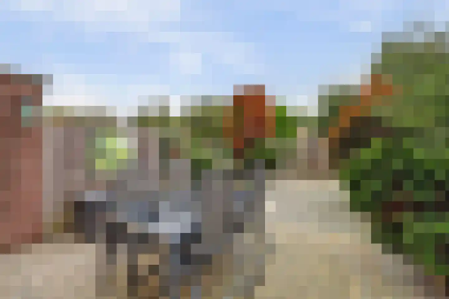 Uitterlier 70 De Lier thumbnail 5