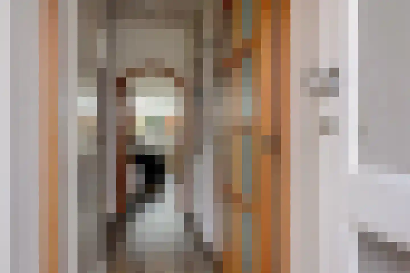 Uitterlier 70 De Lier thumbnail 9