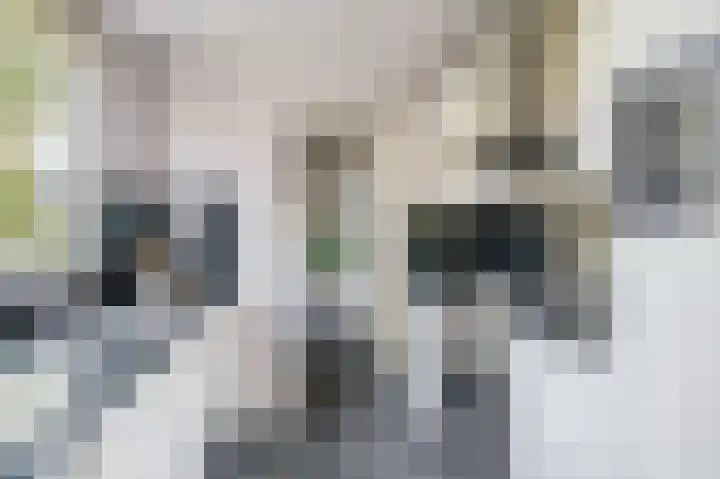 Uitvalsweg 2 Broek op Langedijk thumbnail 13