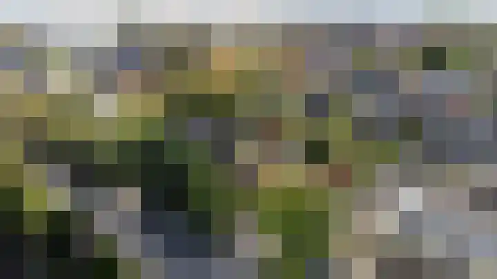 Uitvalsweg 2 Broek op Langedijk foto 2