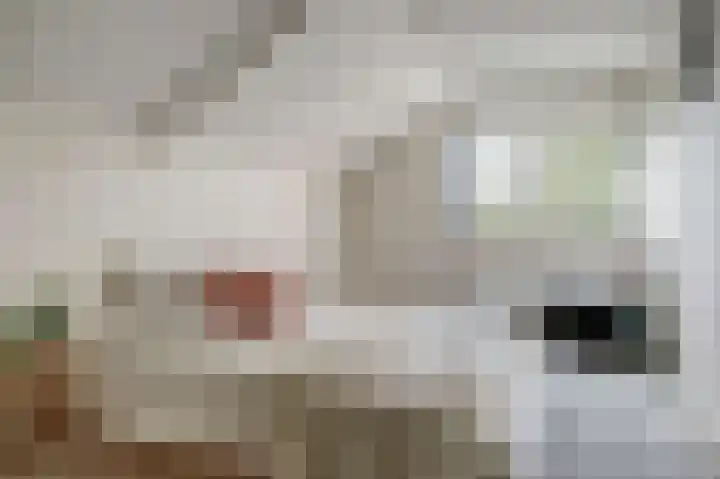 Uitvalsweg 2 Broek op Langedijk thumbnail 24