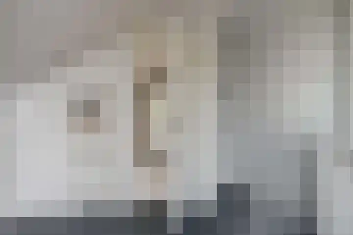 Uitvalsweg 2 Broek op Langedijk thumbnail 30