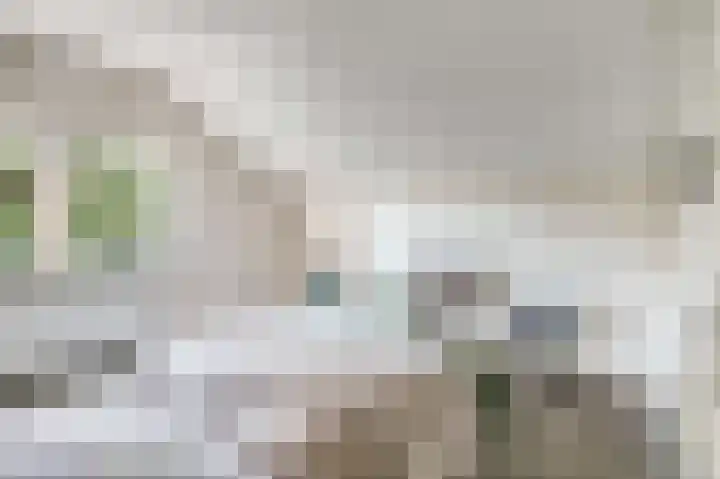 Uitvalsweg 2 Broek op Langedijk thumbnail 31