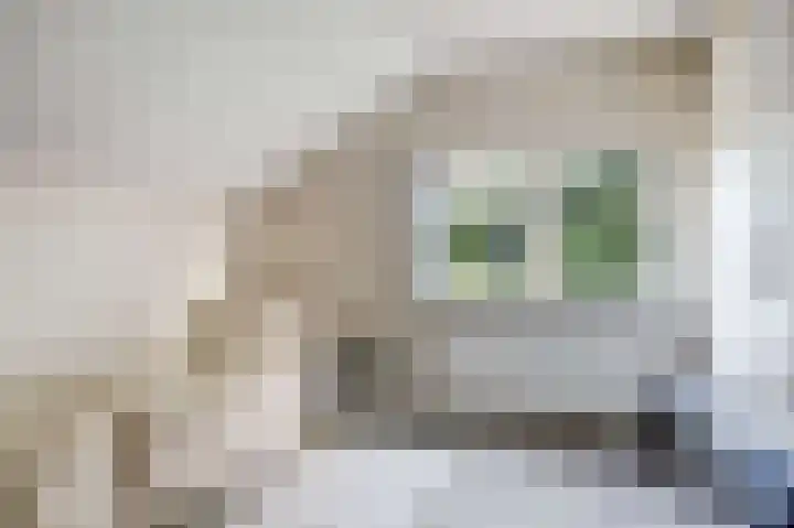 Uitvalsweg 2 Broek op Langedijk thumbnail 33