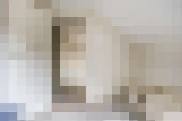 Uitvalsweg 2 Broek op Langedijk thumbnail 34