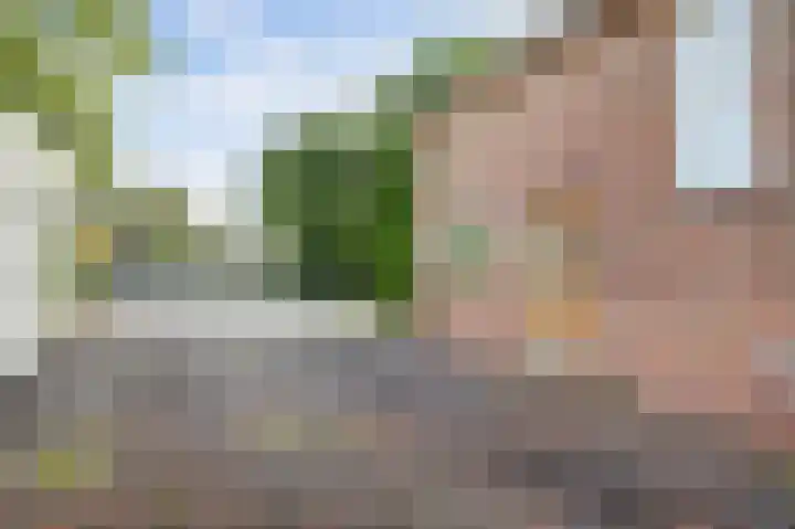 Uitvalsweg 2 Broek op Langedijk thumbnail 38
