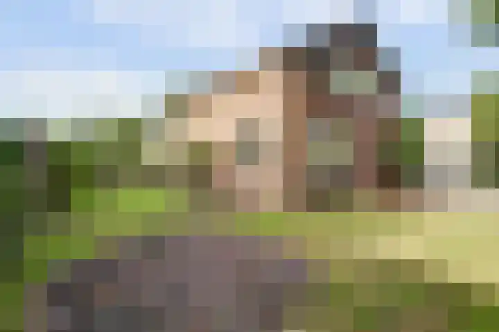 Uitvalsweg 2 Broek op Langedijk thumbnail 39
