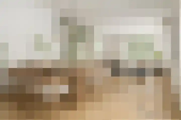Uitvalsweg 2 Broek op Langedijk thumbnail 4