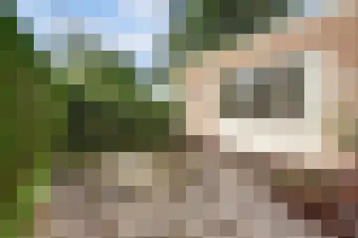 Uitvalsweg 2 Broek op Langedijk thumbnail 40