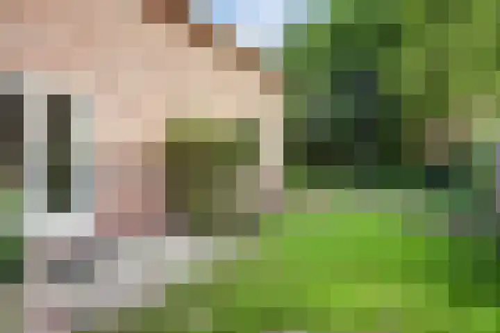 Uitvalsweg 2 Broek op Langedijk thumbnail 41