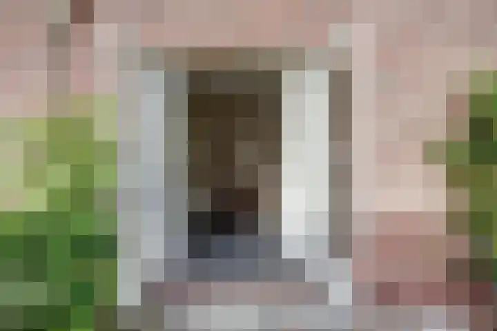 Uitvalsweg 2 Broek op Langedijk thumbnail 42