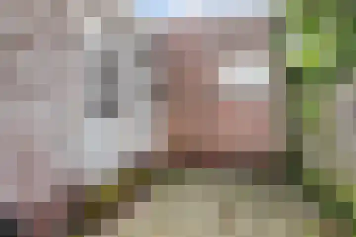 Uitvalsweg 2 Broek op Langedijk thumbnail 44