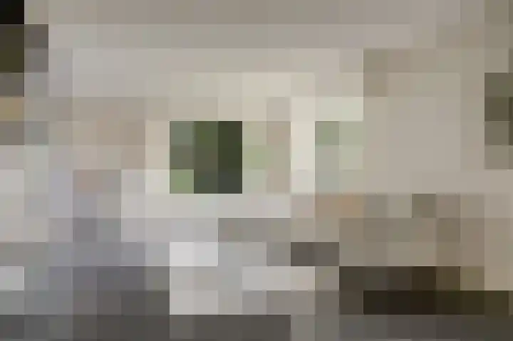 Uitvalsweg 2 Broek op Langedijk thumbnail 6